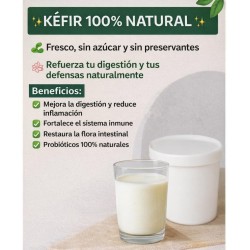 Kéfir – Probióticos naturales para tu bienestar