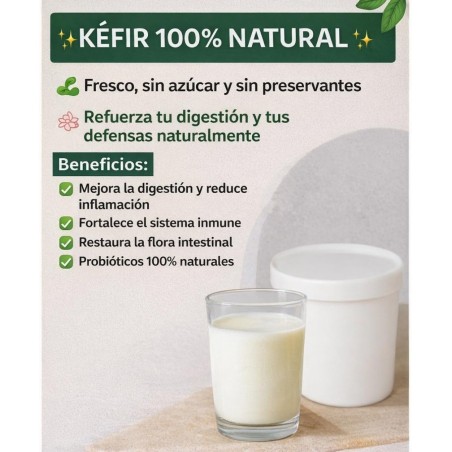 Kéfir – Probióticos naturales para tu bienestar