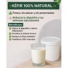 Kéfir – Probióticos naturales para tu bienestar